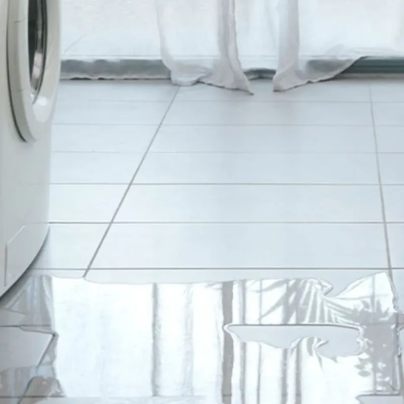 Appliance Leak Cleanup in Temple, GA