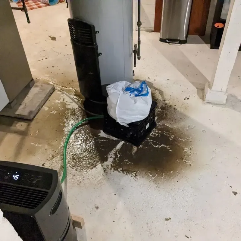 Sewage Backup Cleanup Service in Temple, GA